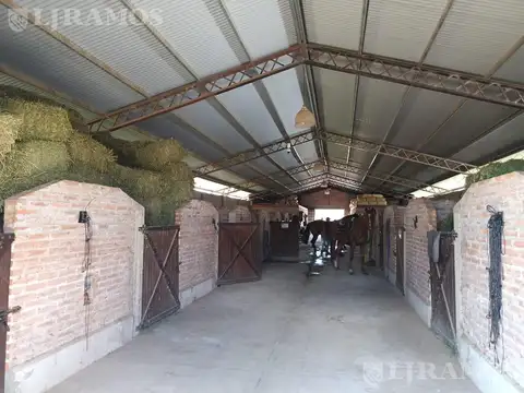 Terreno en Venta 24  mts Frente