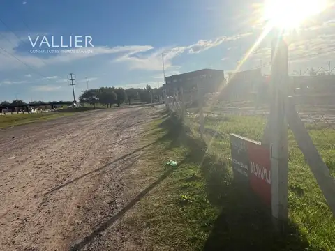 Colectora panamericana km56 bajada el Petrel 100