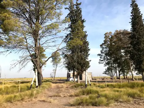 Oportunidad en San Rafael: 5 hectáreas 