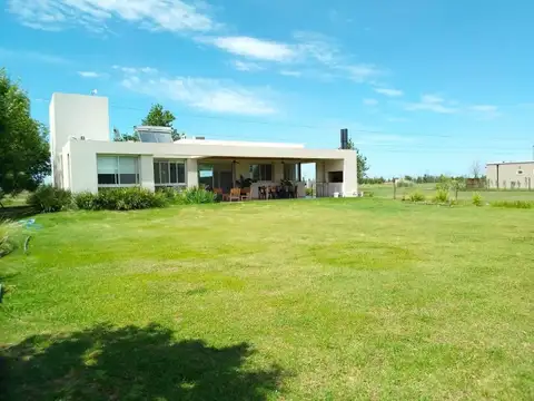 Ara San Juan 4012 - Haras de Funes