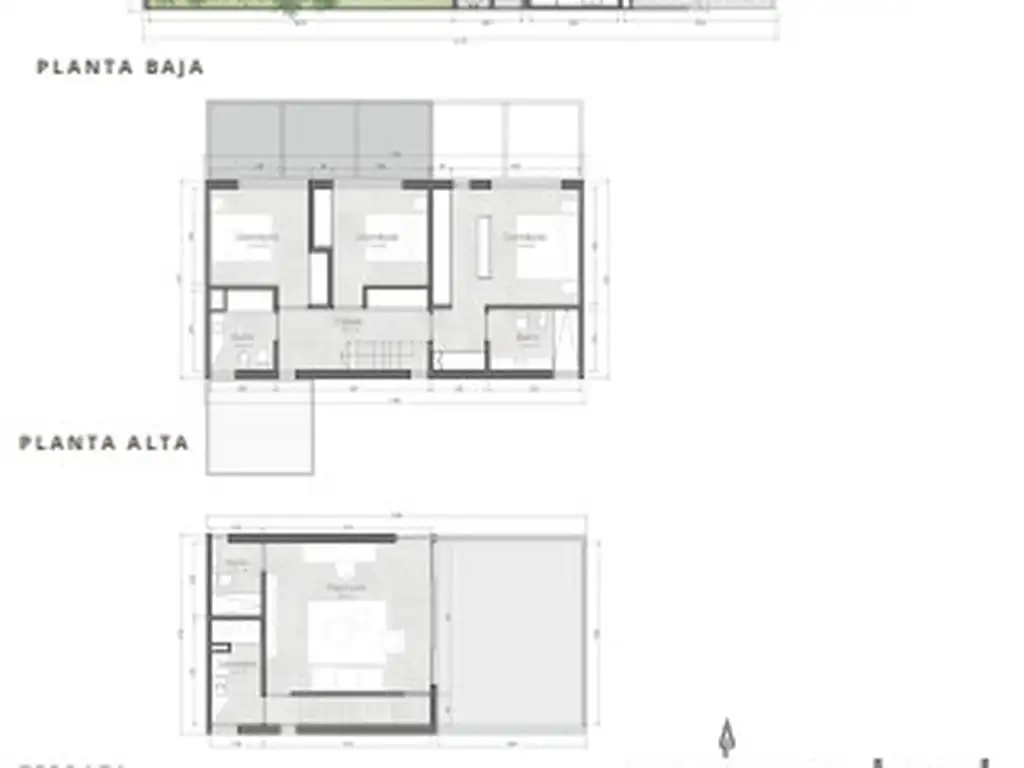 Pindó Martinez - Foto 11