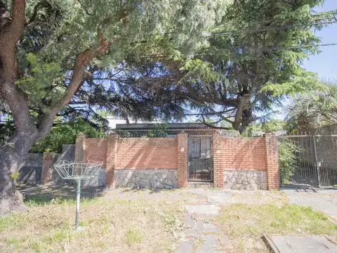 Rosalia de Castro 1000