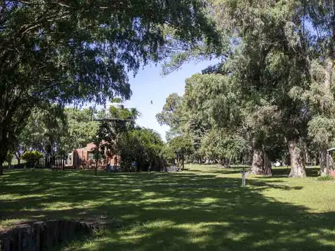 Campo de 38 hectáreas en Navarro