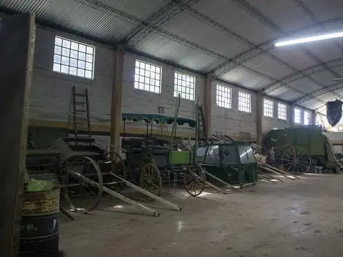 Campo de 38 hectáreas en Navarro