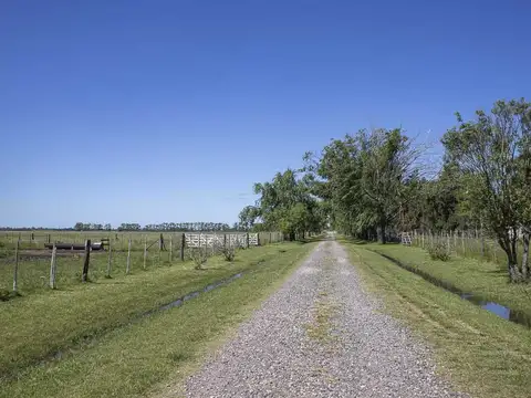 Ruta 41