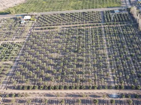 Tropero Sosa y Castro Barros s/n 100