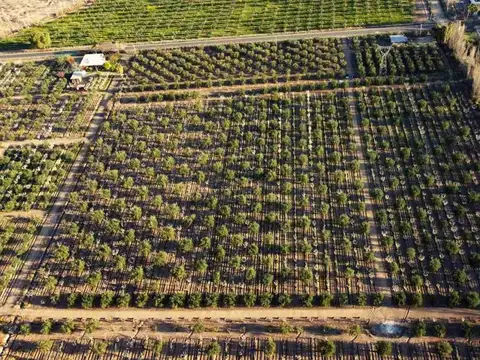 Tropero Sosa y Castro Barros s/n 100