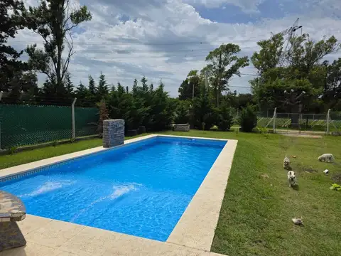 Ruta 11 1000