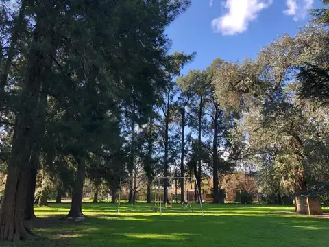 Pio Collivadino al 4500