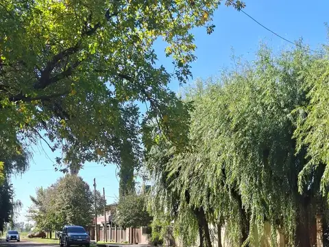 Terreno en Venta de 330,0 m2