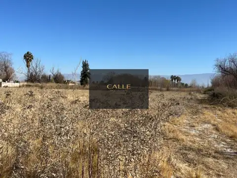 calle Ferrer