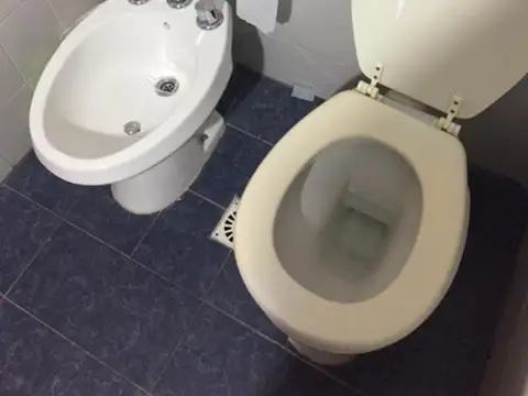 Departamento en Alquiler Permite mascota