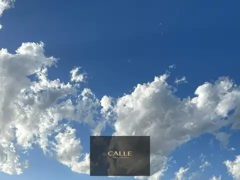 Terreno / Lote en venta de 2ha ubicado en Tupungato