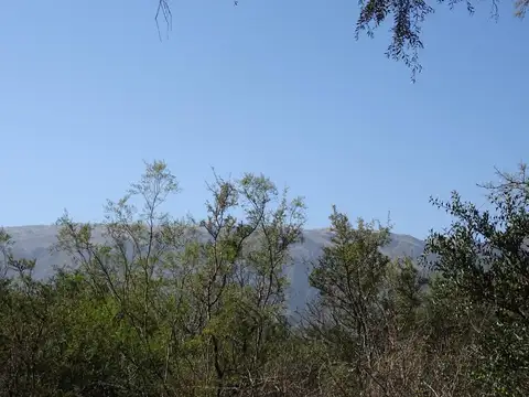 Terreno en Venta, FOS 20