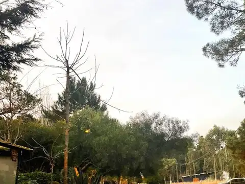 Terreno en Venta en Costa del Este, USD 48.500