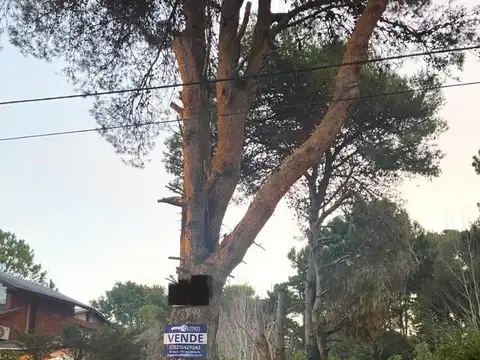 Terreno en Venta de 450,0 m2