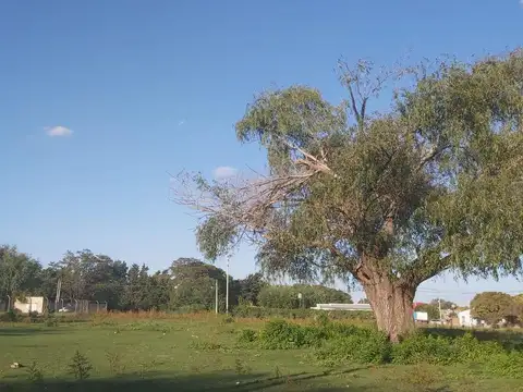 Doña Julia Loteo Urbano FINANCIACIÓN 12 CUOTAS