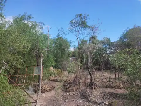 Patricias Argentinas 400, Piso 0