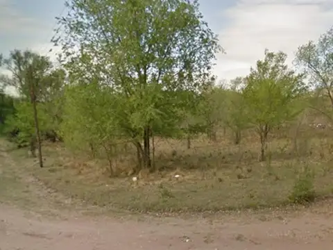 Mandiola Y Calandria