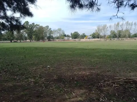 Venta Predio Para Loteo 9 Hectareas Ruta 4