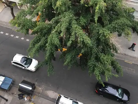 Departamento en Alquiler 10 años