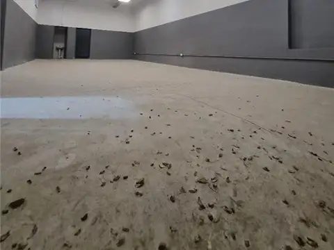 VELEZ SARFIELD 500, Piso P.B.