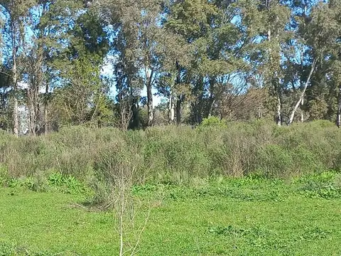 Terreno en Venta de 470000,0 m2