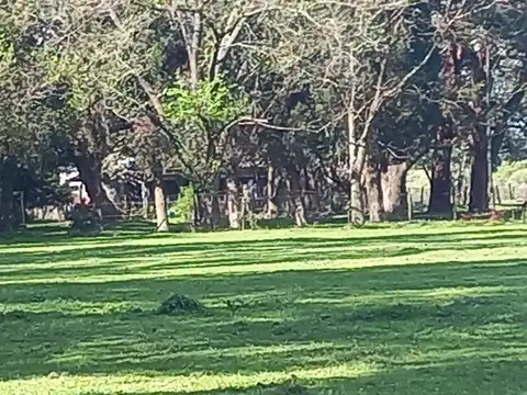 Terreno en Venta de 470000,0 m2