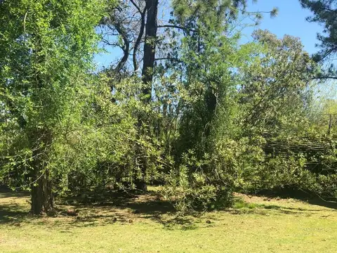 José Ignacio Gorriti 1000