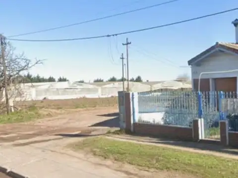 calle 66 100