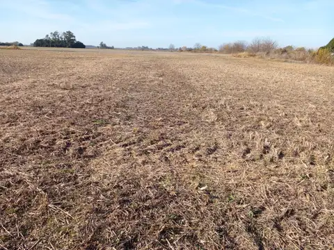 Campo en Venta Agricola
