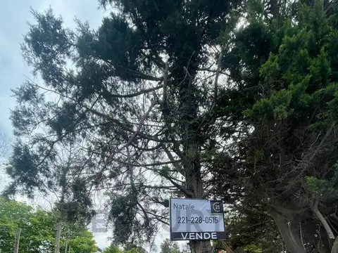 659 entre 21 y 22 100