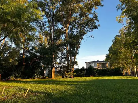 Terreno en Venta de 559,0 m2