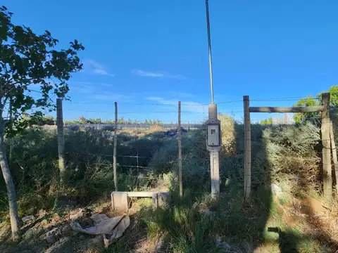 Mendoza