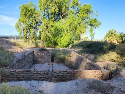 Mendoza