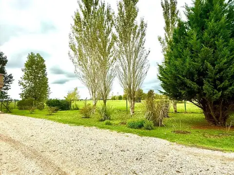 Terreno en Venta de 655,0 m2