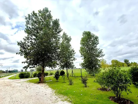 Terreno en Venta de 655,0 m2
