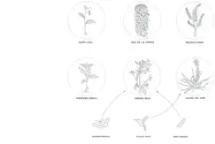 BAAG - MALABIA 1117 - Foto 18