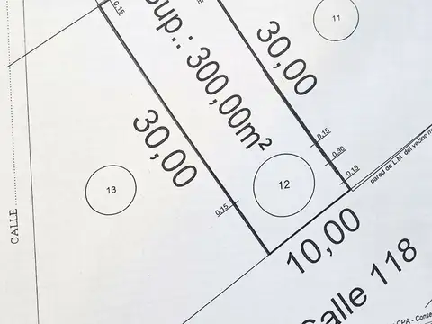 Terreno en Venta de 300,0 m2