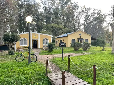 Haras San Pablo