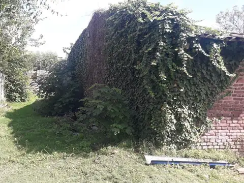 Terreno en Venta 40  mts Fondo