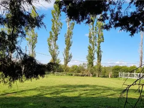 Terreno en Venta de 800,0 m2