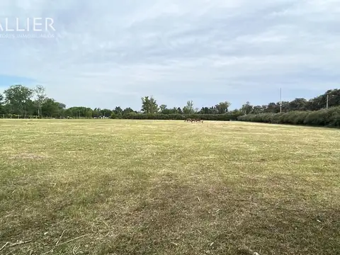 Terreno Fraccion  en Alquiler en Manzanares, Pilar, G.B.A. Zona Norte