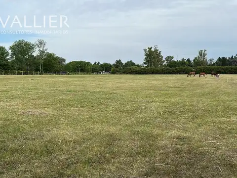 Río Hondo, Manzanares, Pilar 1000