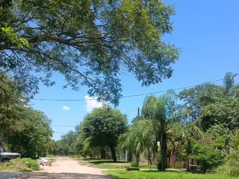 Cartero Ramirez 1329