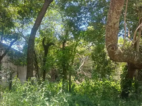 Gran terreno arbolado en Villa Fabiana cercano a autovía!