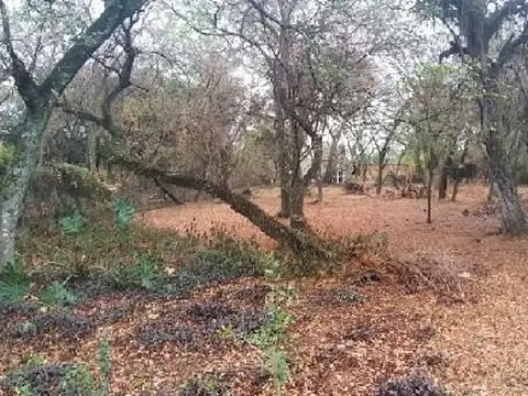 Terreno en Venta de 849,42 m2