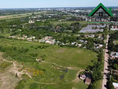 Campo 17,2HA - Terreno - Loma verde - Belen de Escobar - Calle Camino de las toscas y Los granaderos