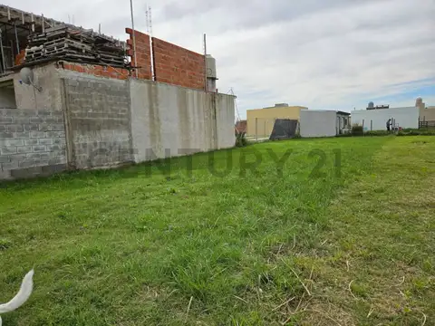 Mariano Acosta y General los Hornos 200, Piso 0