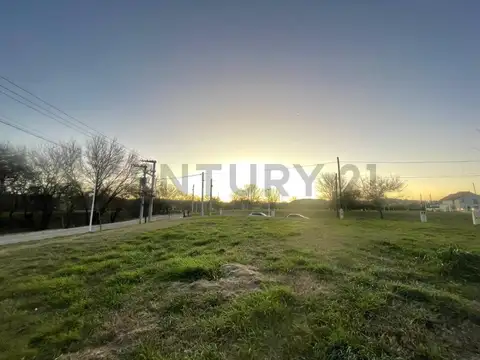 Terreno en Venta 12,08  mts Fondo